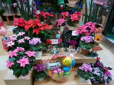 「フラワーちどり」　（山形県天童市）の花屋店舗写真4